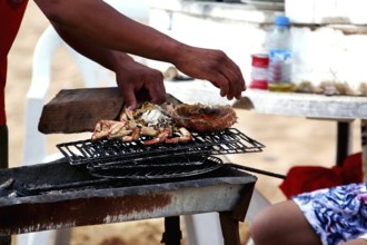 Grilling seafood in a food store on a beach in Oulidia, Oulidia, Doukkala-Abda, Morocco
