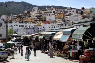 Bustling marketplace in a mountainous landscape with numerous stalls and people in the foreground,