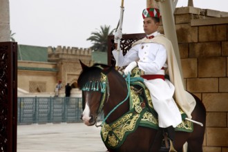 Armed guard on a magnificently decorated horse in front of the Hassan Mausoleum, Rabat, Morocco