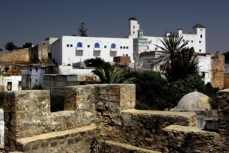 Portuguese fortress with white buildings and palm trees in the foreground, Safi, Marrakesh-Safi