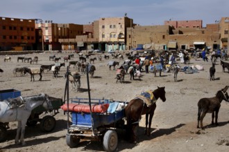 Donkey parking next to a busy market in Rissani, Rissani, Niger, Morocco