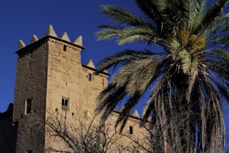 Kasbah Ait Abou Ali in Skoura with high walls and palm trees, against clear blue sky, Skoura,