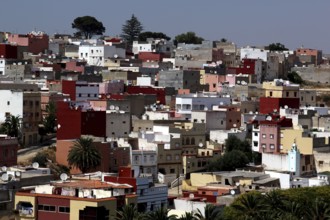 Colourful houses in a dense urban environment in Safi, Morocco, Safi, Marrakesh-Safi, Morocco