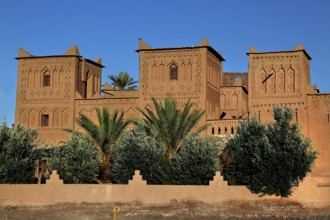 Kasbah Amerhidil with palm trees in the foreground and clear sky in Skoura, Skoura, Drâa-Tafilalet