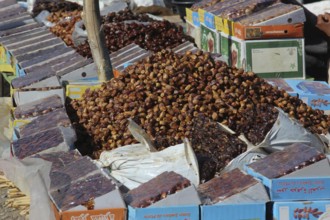 Large quantities of dates in bags at a market in Skoura, Skoura, Morocco