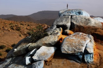 Painted rocks in the desert near Tafraoute, an art project by Jean Verame, Tafraoute, Souss-Massa,