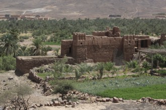 Kasbah in Tamnougalt surrounded by green palmery and desert landscape, Tamnougalt, Drâa-Tafilalet