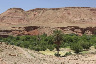 Desert landscape of Tamdakth with rocky hills and green oases, Tamdakht, Drâa-Tafilalet region,
