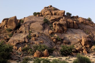 Towering rock formation in the dry, vast landscape of Tafraoute, Tafraoute, Souss-Massa, Morocco