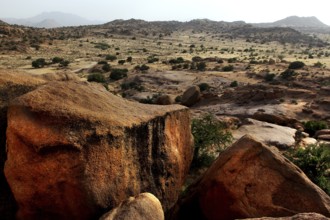 Rocks in the vast desert landscape in the region around Tafraoute, Tafraoute, Souss-Massa, Morocco