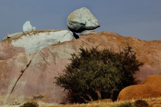 Large rock with painted areas and tree, work by Jean Verame in Tafraoute, Tafraoute, Souss-Massa,