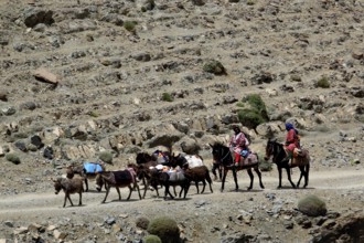 Nomadic group with loaded donkeys on a rocky path in mountainous surroundings, Tizgui n'Ouadda,