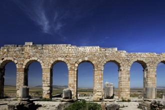 Arches of the Volubilis Basilica rise against the clear blue sky and depict ancient craftsmanship,