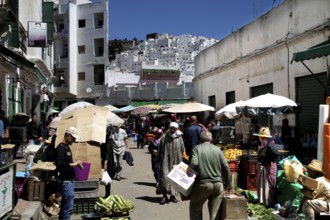 Bustling market in the new town of Tetouan with sellers and customers under umbrellas, Tetouan,