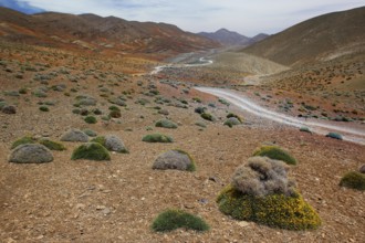 View of a valley with a serpentine road in a rocky, barren area, Tizgui n'Ouadda, Morocco