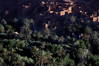 The Todra Gorge with lush palm-fringed vegetation in the foreground, Todra, Drâa-Tafilalet region,