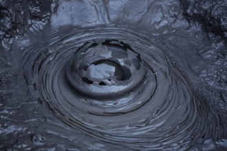 Blowing mud hole in the Whakarewarewa geothermal area in Rotorua, Rotorua, New Zealand