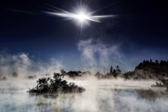Sun-drenched geothermal area with steam clouds in Whakarewarewa, Rotorua, New Zealand