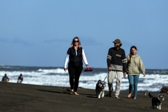 Group of walkers with dogs enjoying a sunny day at the beach, Te Henga, New Zealand