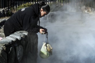 A person preparing a hangi dish over hot springs, Rotorua, Bay of Plenty, New Zealand