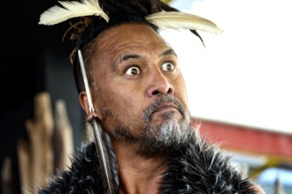 Concentrated Maori man wearing feather decoration at a cultural performance, Rotorua, Bay of