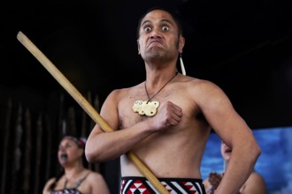A Maori man with intense facial expression during a cultural performance with a wooden stick,
