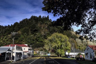 Street view with buildings and dense vegetation in Whangamomona, Whangamomona, New Zealand