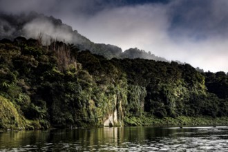 Mystical morning scene on Whanganui River with fog and wooded slopes in morning light, zero