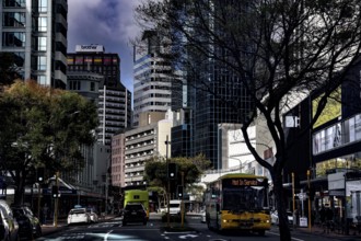Lambton Quay in Wellington with modern skyscrapers, trees and vehicles under cloudy sky,