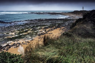 Coastal landscape at Waipapa Point with lighthouse and wave-swept beach, Waipapa Point, Southland,