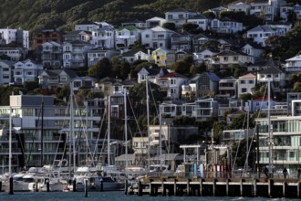 Houses on a hill with harbour and boats in the Wellington district, Wellington, North Island, New