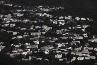 Aerial view of densely built residential area on a hillside in Wellington, Wellington, New Zealand