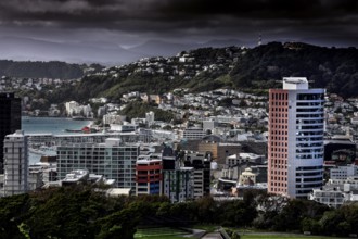 View of Wellington skyline and hills from the cable car, Wellington, New Zealand