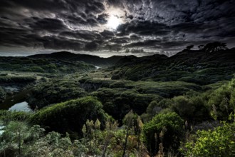 Dramatic night landscape with cloudy sky near Wharariki Beach, Wharariki Beach, New Zealand