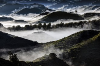 Morning fog over rolling hills in Tongariro National Park with mystical flair, Tongariro National