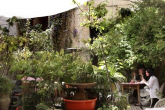 Two people around a table in a lush garden, relaxed atmosphere, Fez, Fez el Bali, Morocco