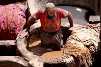 A worker in the tanners' quarter of Fez works on leather in a large paint basin, Fez, el-Bali,