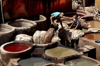 Two workers work leather in the traditional paint tanks of the tanneries of Fez, Fez, el-Bali,