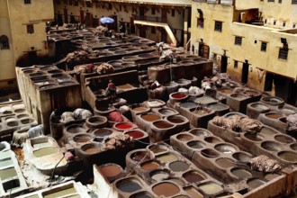 Traditional tannery in Fez, where workers treat leather in colored basins, Fez, el-Bali, Chouwara,