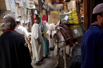 A loaded donkey moves through a busy market alley, Fez, Fez el Bali, Morocco