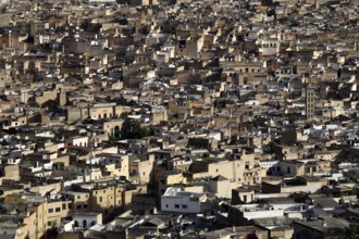 Densely built city view of Fez from Bordj Sud, Fez, Fez el Bali, Morocco