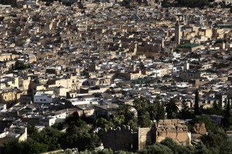 Panoramic view of the dense urban landscape of Fez from Bordj Sud, Fez, Fez el Bali, Morocco