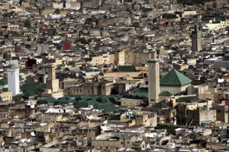 View from the merinid tombs of Zawia Moulay Idriss II in Fez, Fez, Fez el Bali, Morocco
