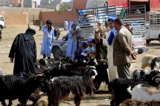 People wearing traditional garments at an active livestock market, Guelmim, Guelmim-Oued Noun,