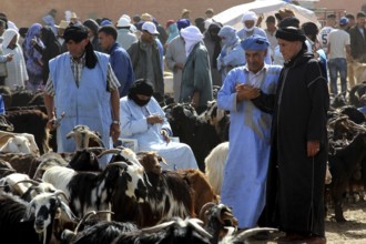 People trading in traditional clothing at a cattle market, Guelmim, Guelmim-Oued Noun, Morocco
