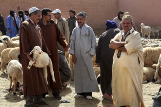 Men wearing traditional clothes discussing at a cattle market, Guelmim, Guelmim-Oued Noun, Morocco