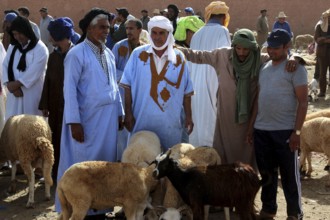 Men in traditional clothing stand with sheep at a lively market, Guelmim, Morocco