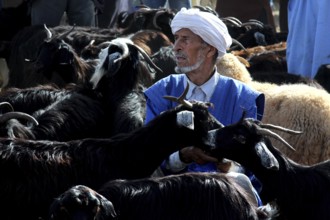 Man wearing traditional clothes surrounded by cattle at a busy market, Guelmim, Morocco