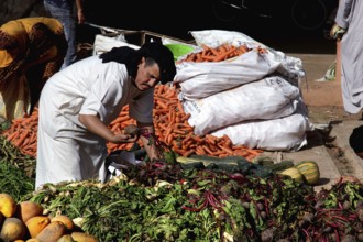 Woman sorting piles of carrots at a vegetable market in the morning sun, Guelmim, Morocco