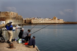 View of fishermen at the harbor with the Cité Portugaise in the background, El Jadida,